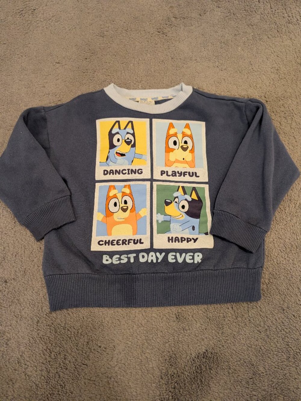 Bluey Sweatshirt